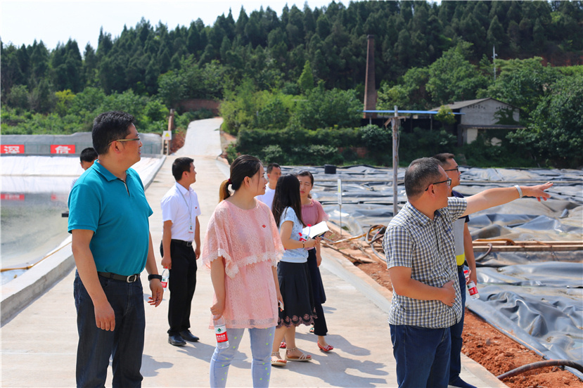 集團第一檢查組檢查杰陽排水公司、固廢處置公司安全防汛和環(huán)保達標各項工作3_副本